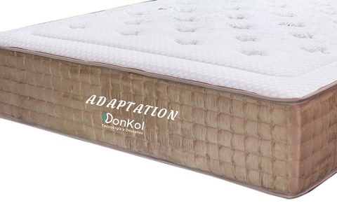 Adaptation Donkol REF-002