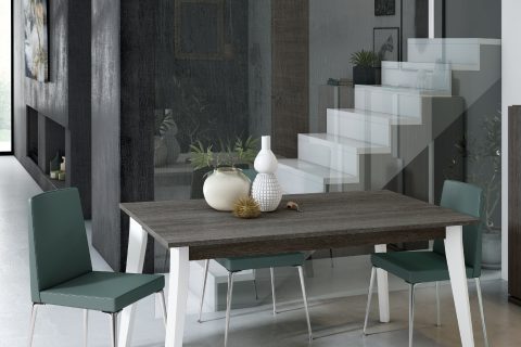 Mesa REF-106
