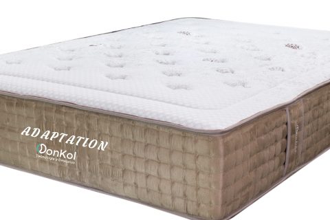 Adaptation Donkol REF-011