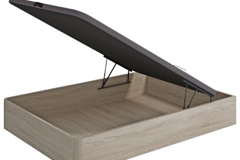 2P Base Cambrian REF-002
